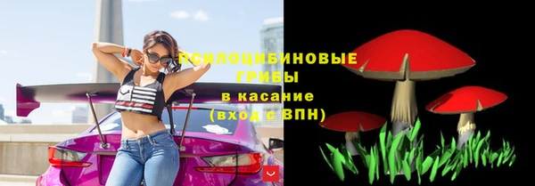spice Коряжма