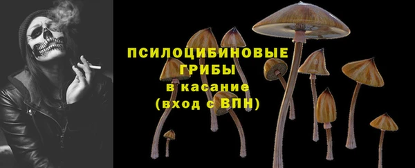 дурь Алексин