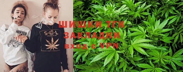 гидропоника Алзамай