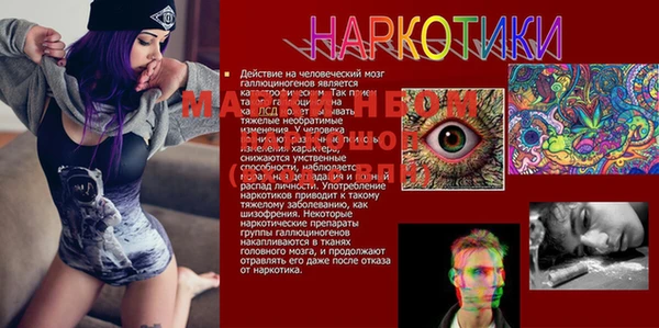 дурь Алексин