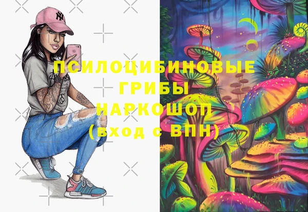 гидропоника Алзамай