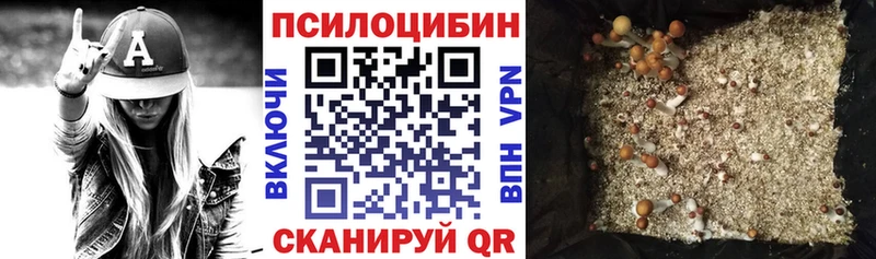 Галлюциногенные грибы мухоморы  магазин    Иланский 